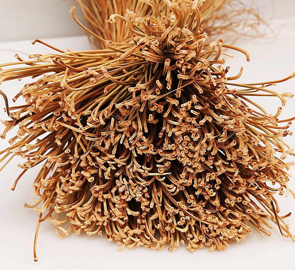 Olé & Co Detail van esparto vezels  onderzijde