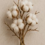 Olé & Co Tak van katoenplant met witte katoenbolletjes – puur en echt katoen